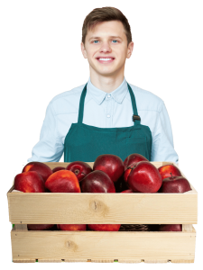 Apple sales, Bounce rate – immediately loosing customer attention image - easylive byebuy